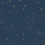 stellar garments