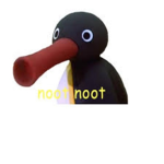 Pingu pingu