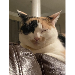 H0mɛ