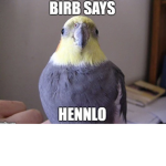 Epic Birb clan