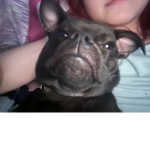 WE PRAISE MY BABY SADIE