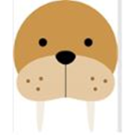 Walrus Studio