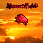 iBeautiful®