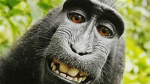 Danny2101