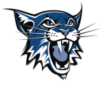 Beluga Cat Studios