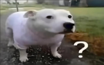 turbo_sus