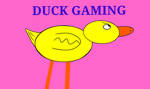 KING DUCK GAMING