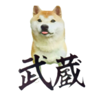 シス・トルーパー教