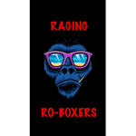 RAGING RO-BOXERS