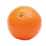 Fresh Oranges From The Vine
