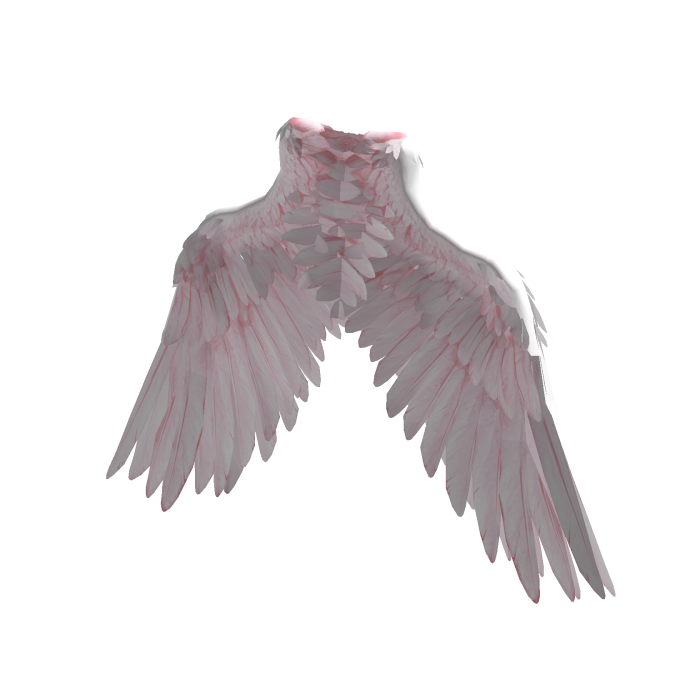 Pink & White Angel Wings