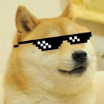 Los doges :D