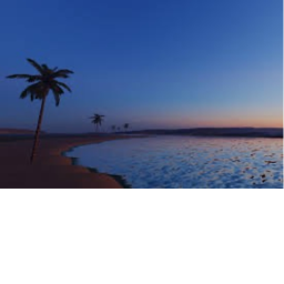 Beach Paradise