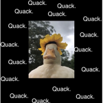 qt Gang :)