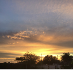 SunsetSqud