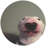 played for ## minutes