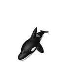 Whale's United