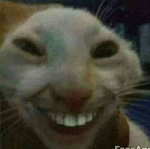 Wᴀʟᴛᴇɴ's Cᴏᴍᴍᴜɴɪᴛʏ
