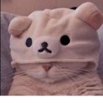 !kawai kittens!
