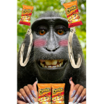 MonkeyCult