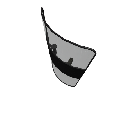 Riot Shield