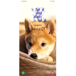 Doge mystery