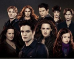 Team Twilight Saga