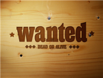 The Wanted