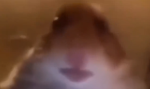 SillyByte