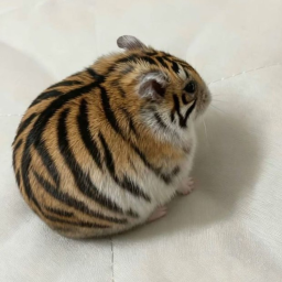 🥺