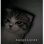 •angelicss•