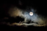 8PMgoodnight