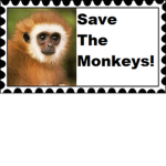 Save the Monkeys!!!!