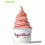 Yogurt land®