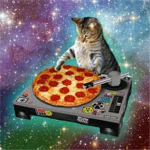 Dj Cats! :3