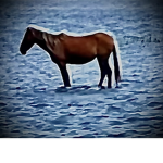 Horsy Girl