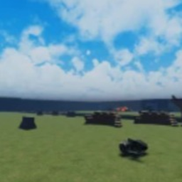 Capture the flag
