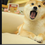 Doge Planet Studios