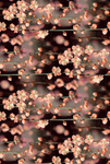 The flower Besites