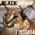 Black Whip