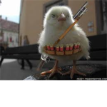 Andy and Max's Rad Chicken Group