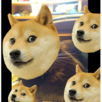 DogeIsBest studio