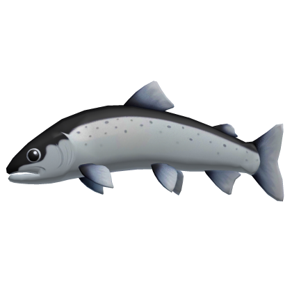 Fish Snack Cat Toy Roblox item