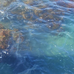 ╭・🌊˚ · .