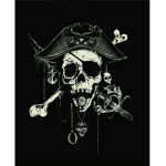 Heart piratesss