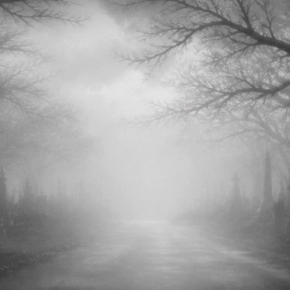 Eerie Foggy Cemetery Path