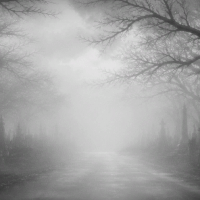 Eerie Foggy Cemetery Path