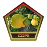 caption=Badge