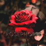 rosèphoric