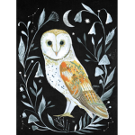 Owl’s work shop